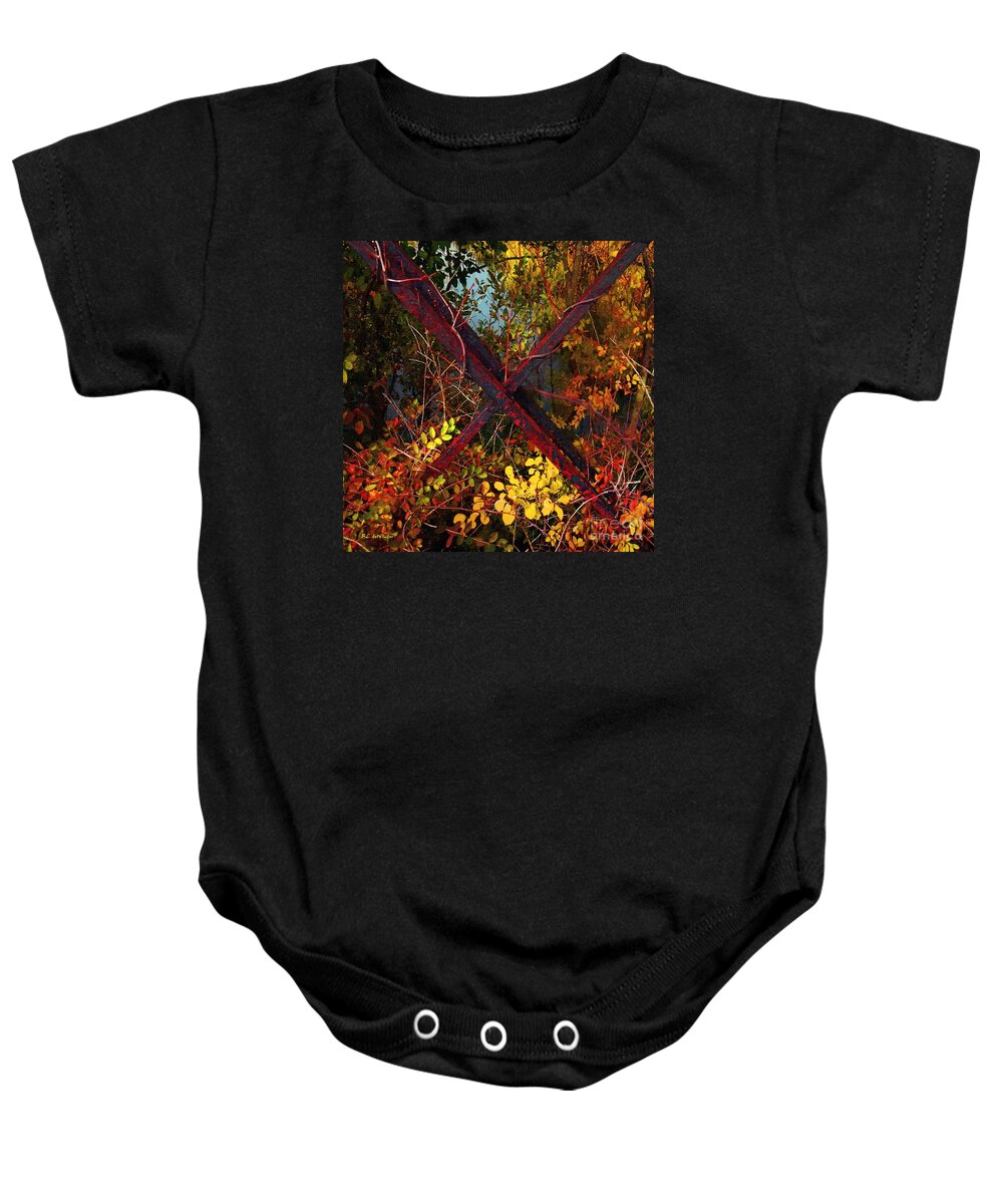 Crossbars Baby Onesie featuring the painting Autumn's Bandolier by RC DeWinter