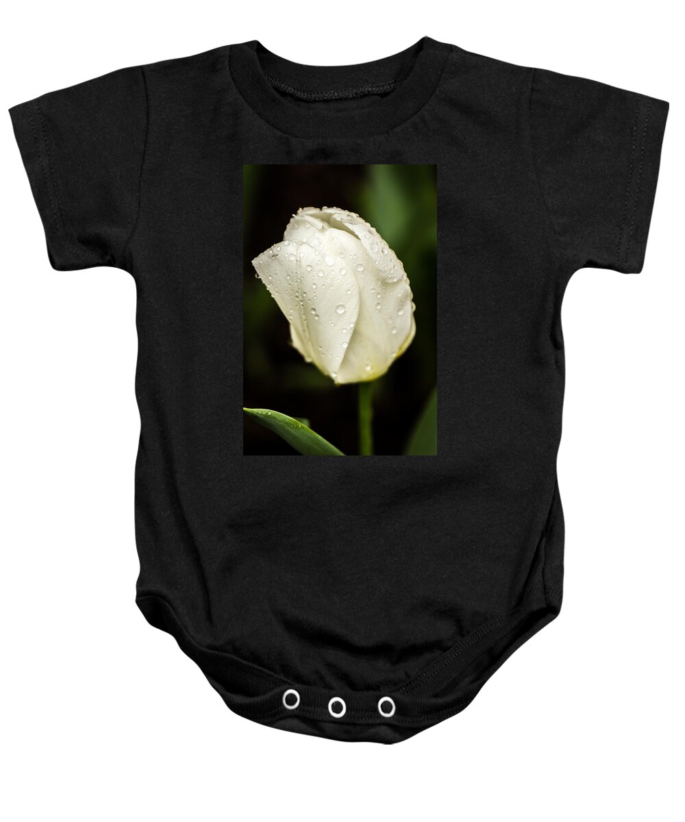 Tulips Baby Onesie featuring the photograph Awakening by Sara Frank