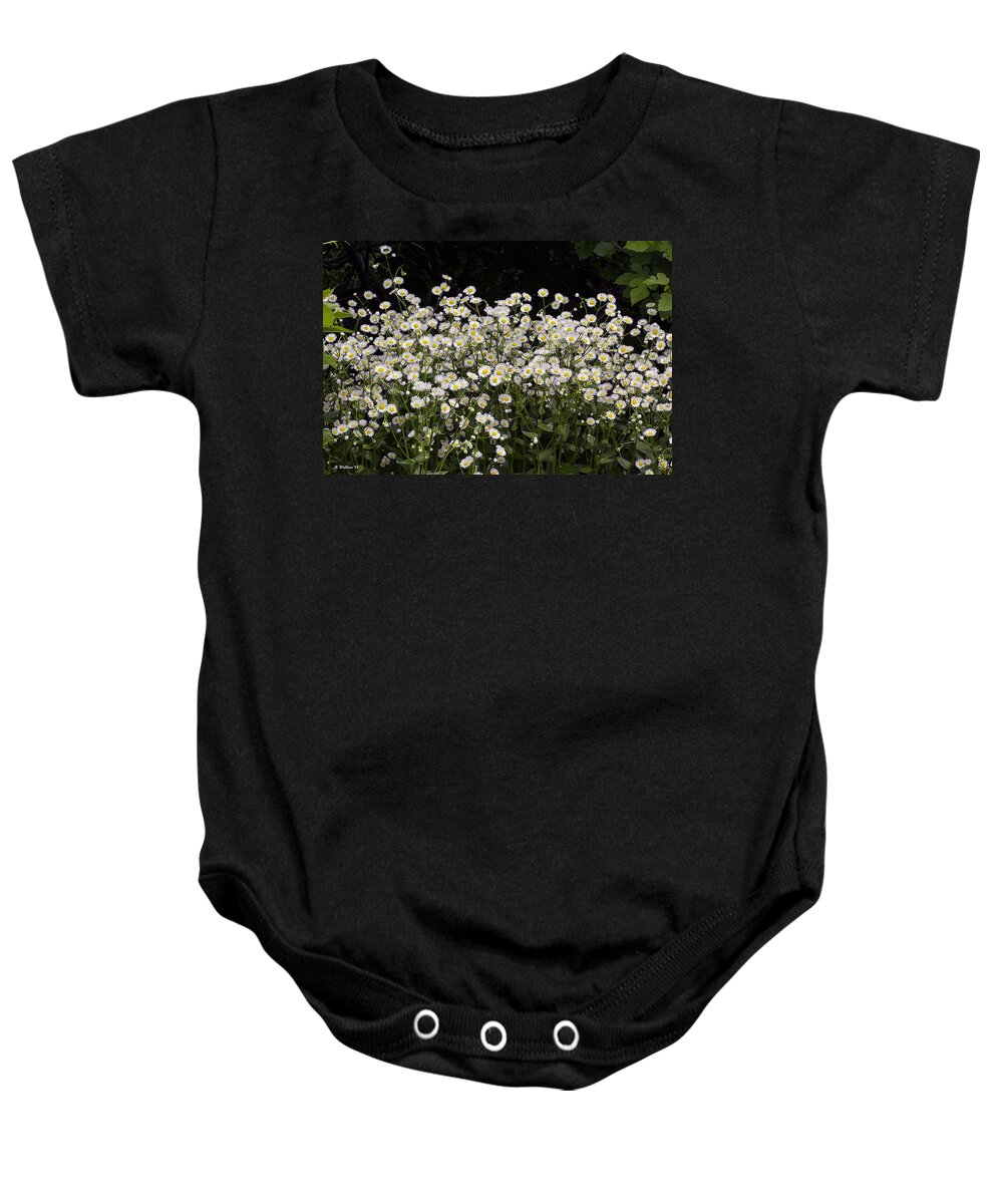 2d Baby Onesie featuring the photograph Baby Bloomers by Brian Wallace