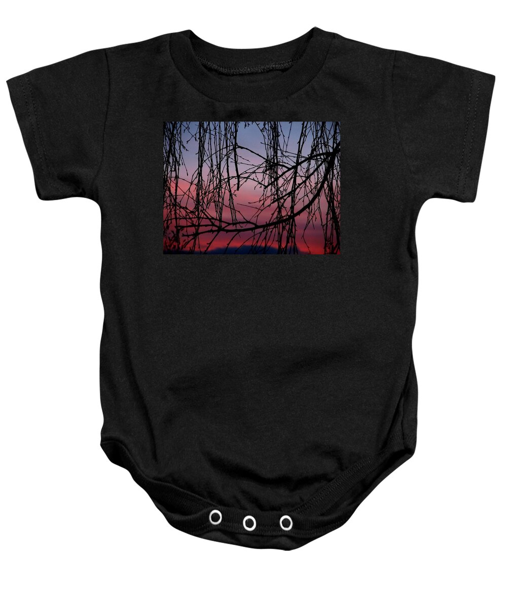 Oregon Baby Onesie featuring the photograph Backyard Sunset by Chris Dunn