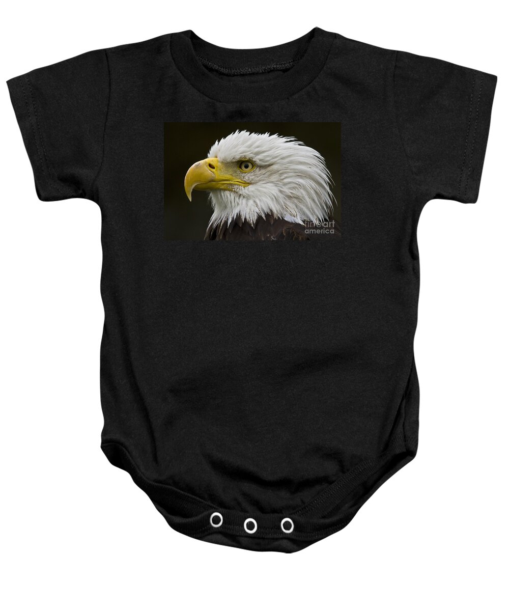 Eagle Baby Onesie featuring the photograph Bald Eagle - 7 by Heiko Koehrer-Wagner