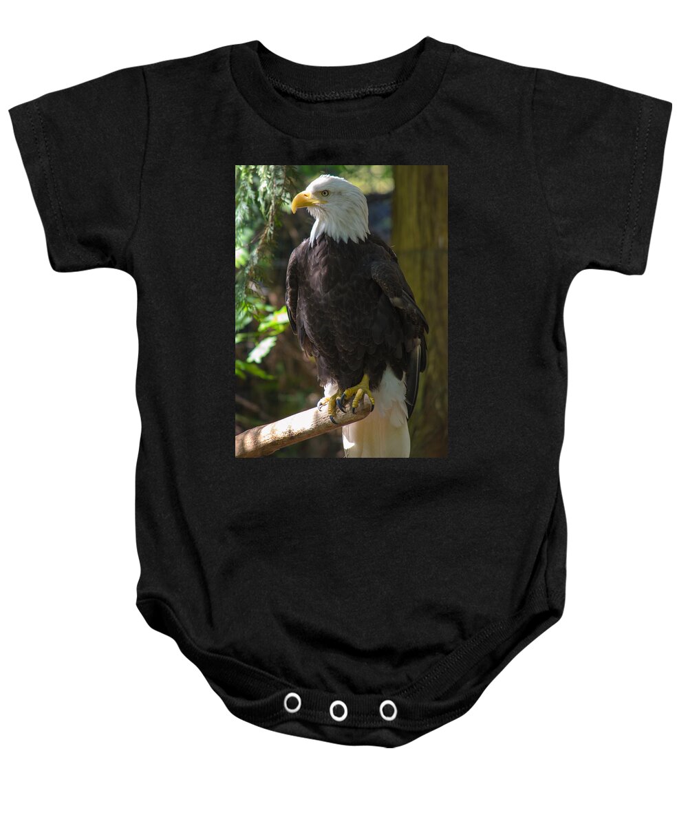 Eagle Baby Onesie featuring the photograph Bald Eagle by Tikvah's Hope