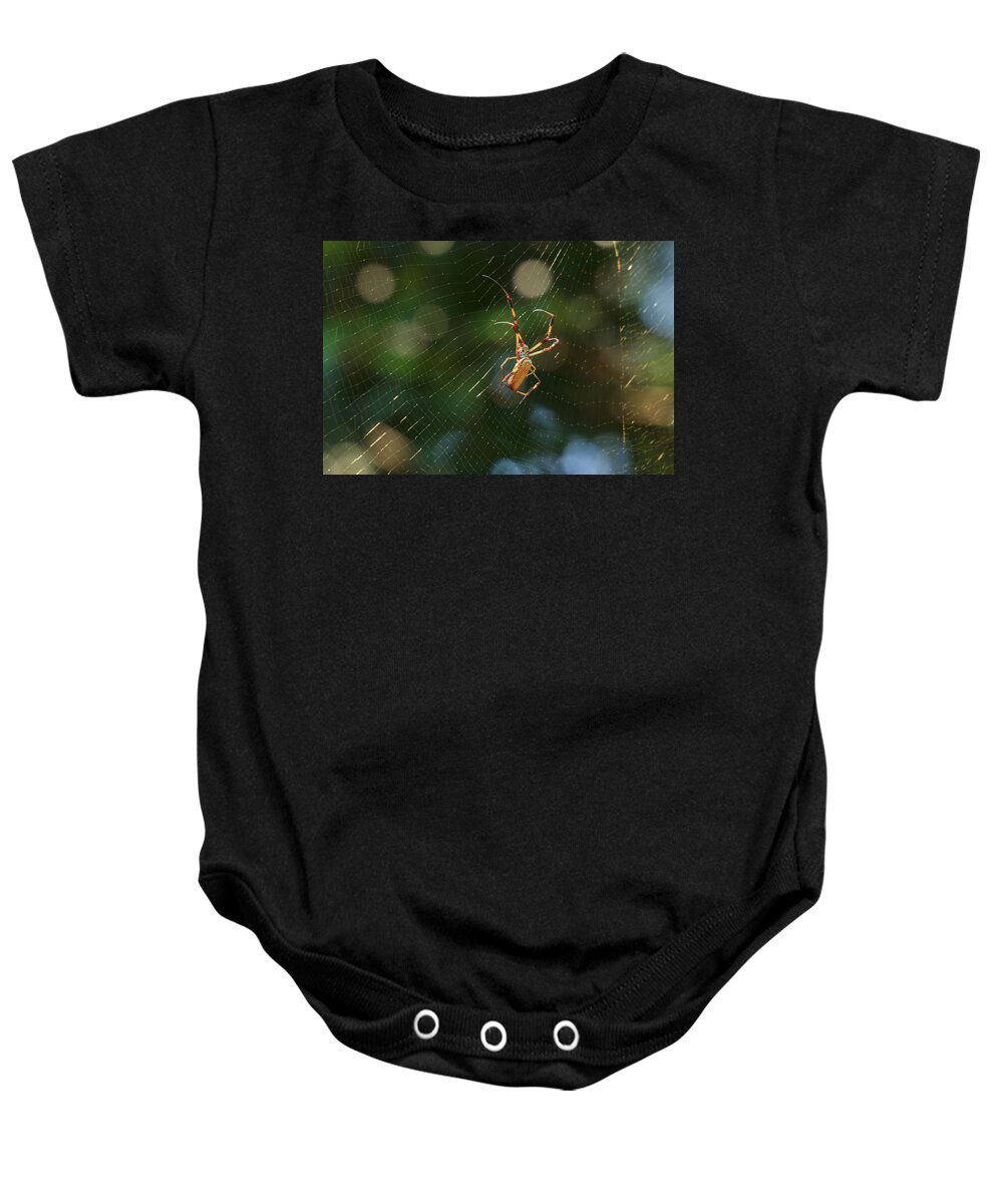 South Carolina Baby Onesie featuring the photograph Banana Spider in Web by Patricia Schaefer