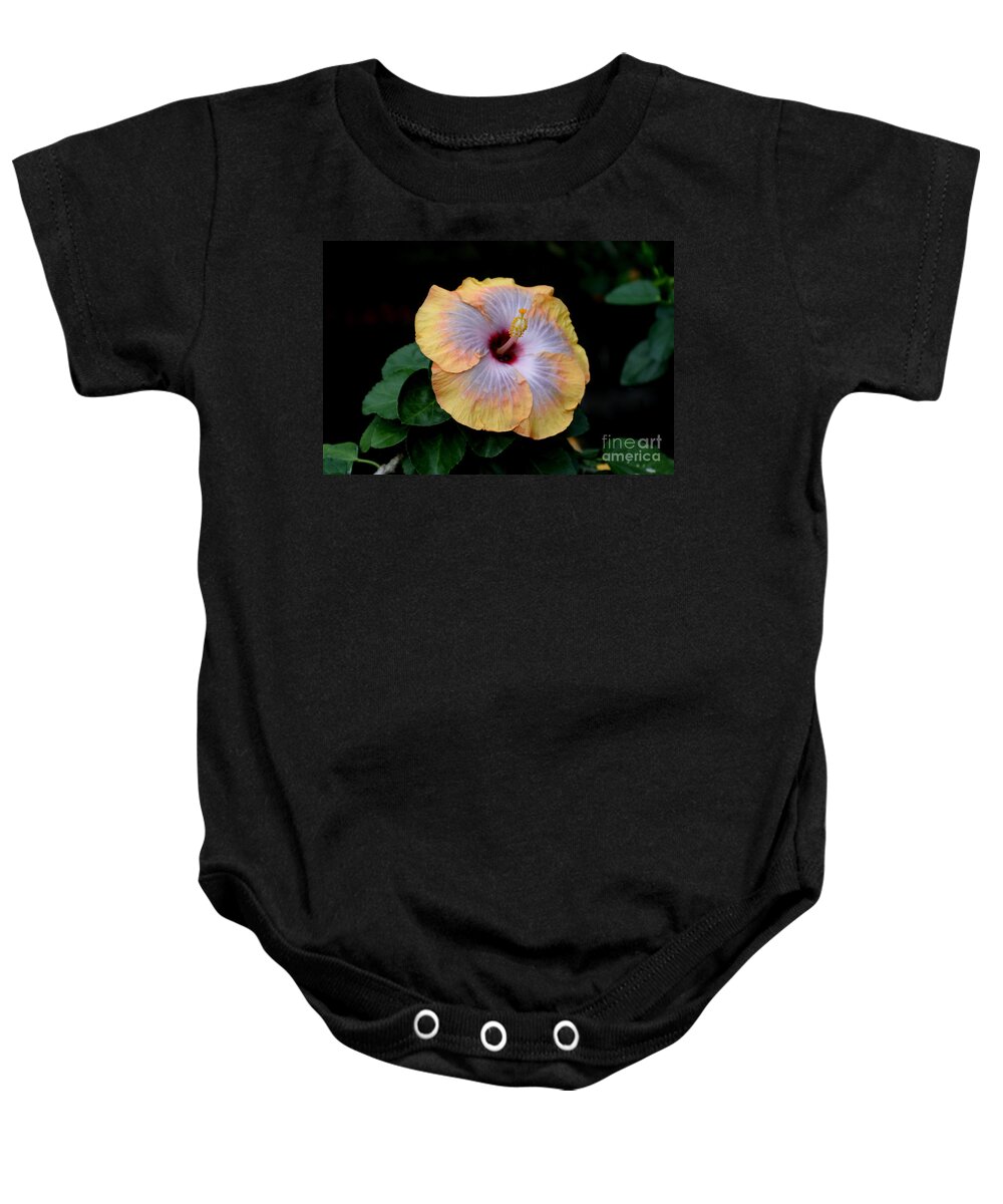 Hibiscus Baby Onesie featuring the photograph Beauty Before Age by Living Color Photography Lorraine Lynch