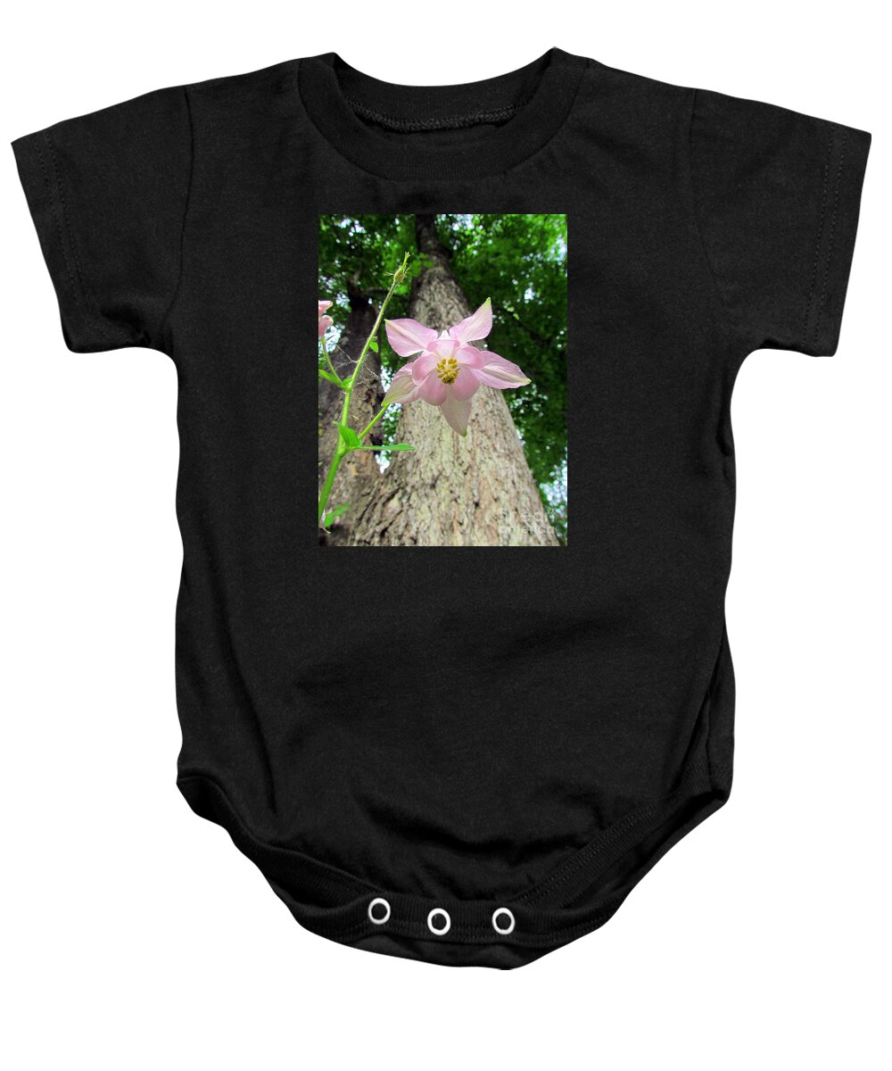 Star Flower Baby Onesie featuring the photograph Beauty From Below by Elizabeth Dow