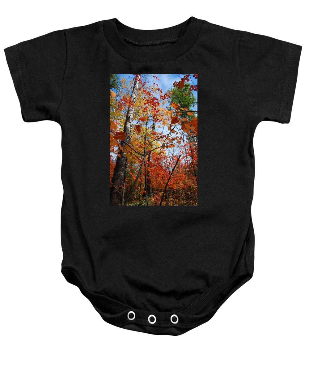 Autumn Baby Onesie featuring the photograph Birch Maple Autumn by Cascade Colors