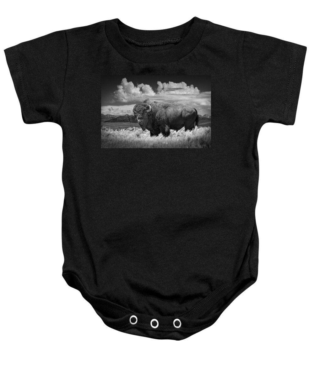 Bison Baby Onesie featuring the photograph Black and White Photograph of an American Buffalo by Randall Nyhof