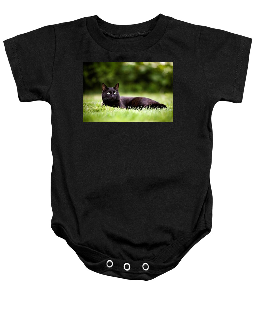 Cat Baby Onesie featuring the photograph Black Cat Lying in Garden by Ian Good