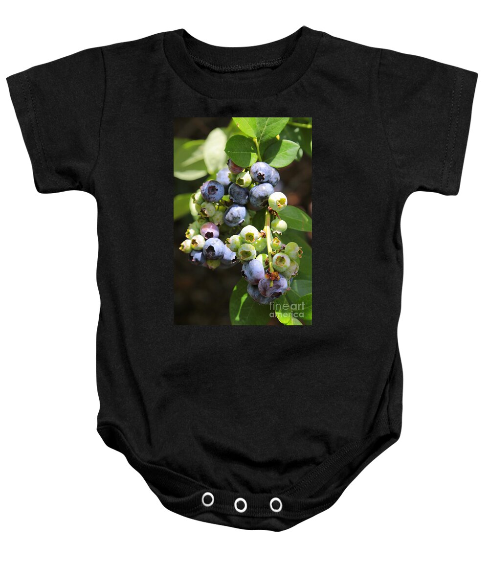 Blueberry Baby Onesie featuring the photograph Blueberries on the Vine Vertical by Carol Groenen
