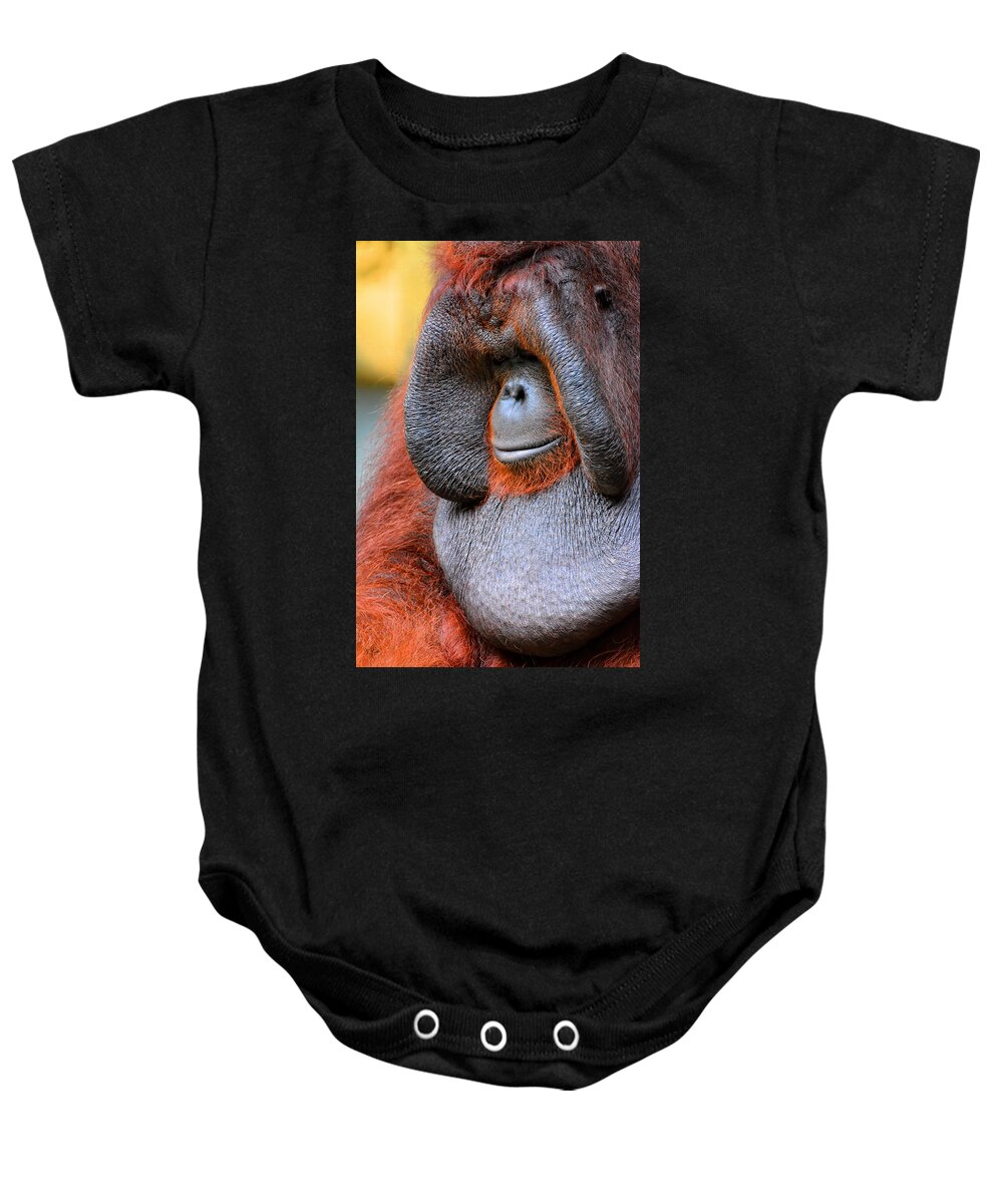 Orangutan Baby Onesie featuring the photograph Bornean Orangutan VI by Lourry Legarde