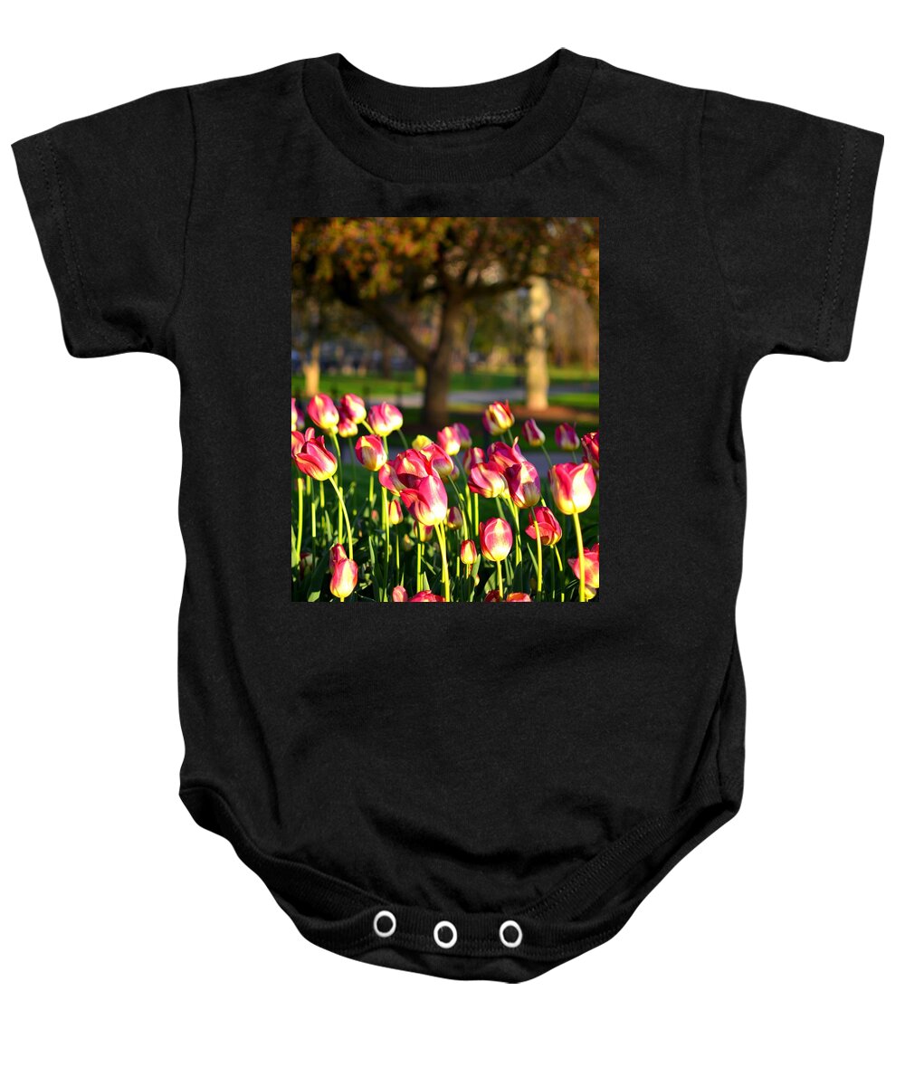 Boston Baby Onesie featuring the photograph Boston Public Garden Tulips by Toby McGuire