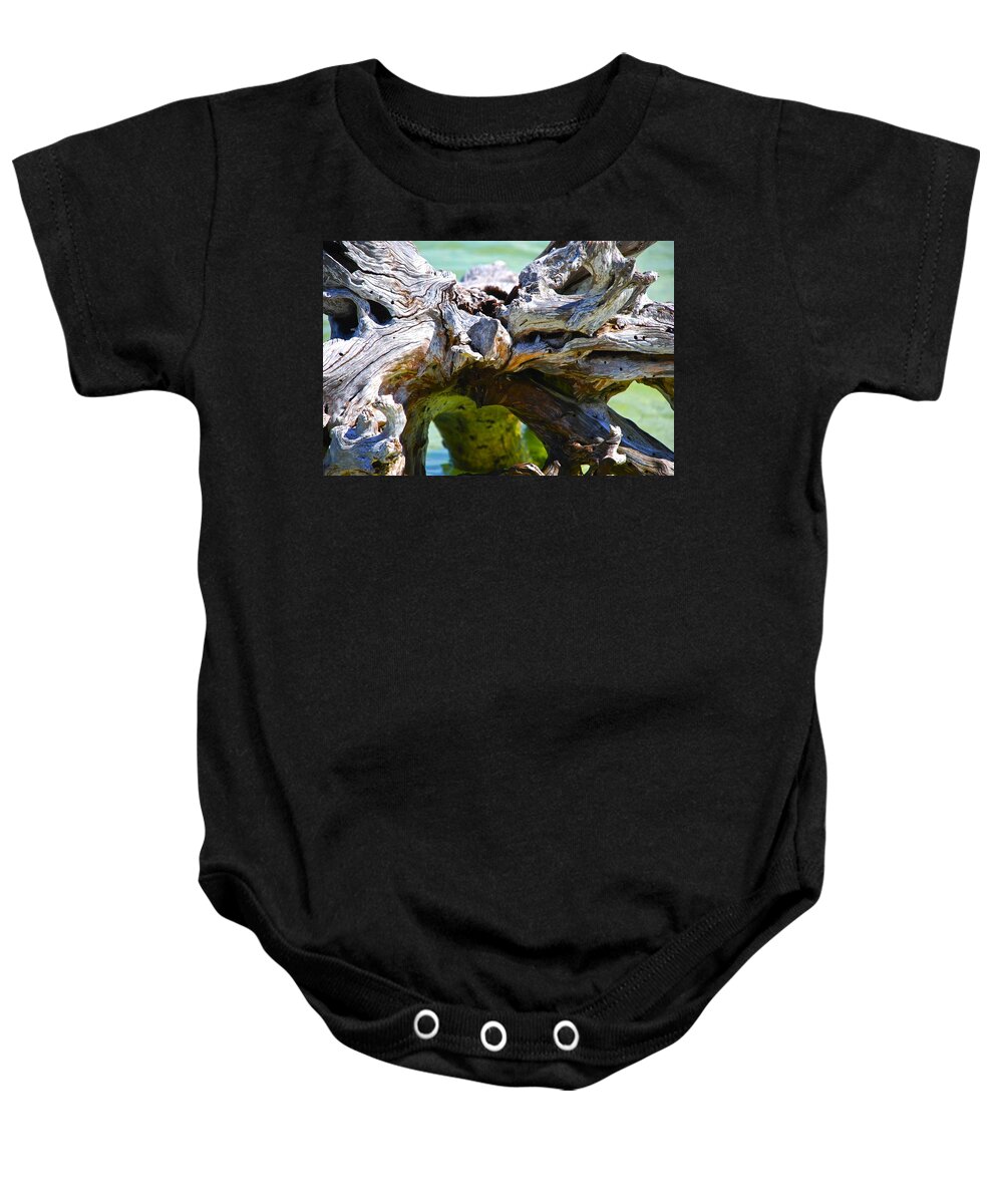 Colorful Baby Onesie featuring the photograph Bottoms Up by Norma Brock