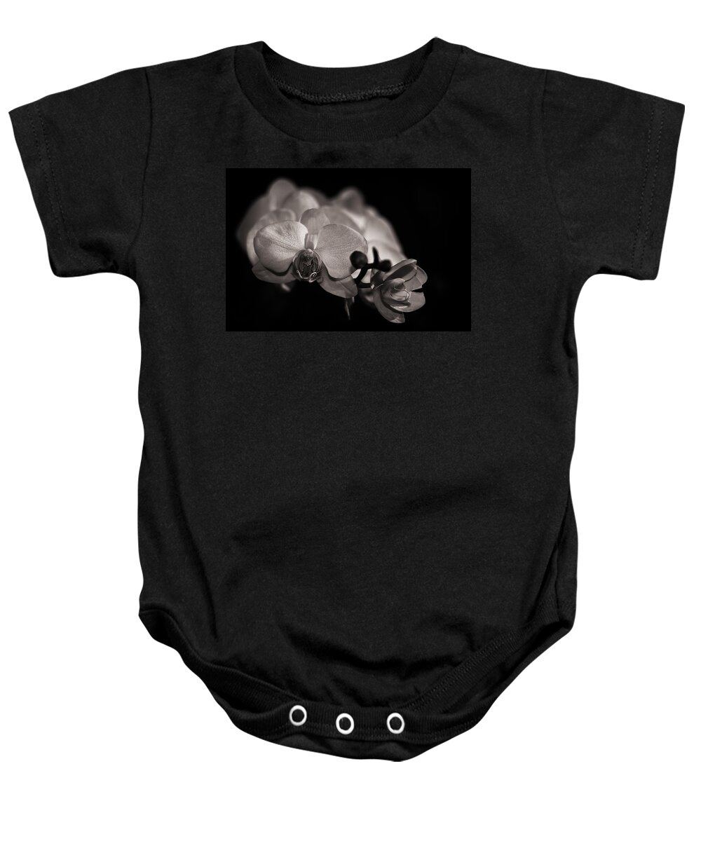 Flowers Baby Onesie featuring the photograph Budding by Rob Dietrich