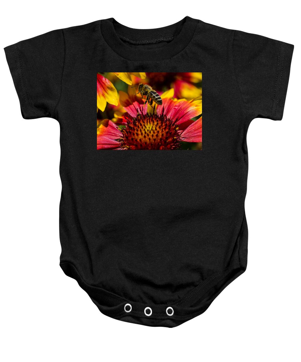 Busy Bee Buzzing Baby Onesie featuring the photograph Busy Buzzing Bee by Jordan Blackstone