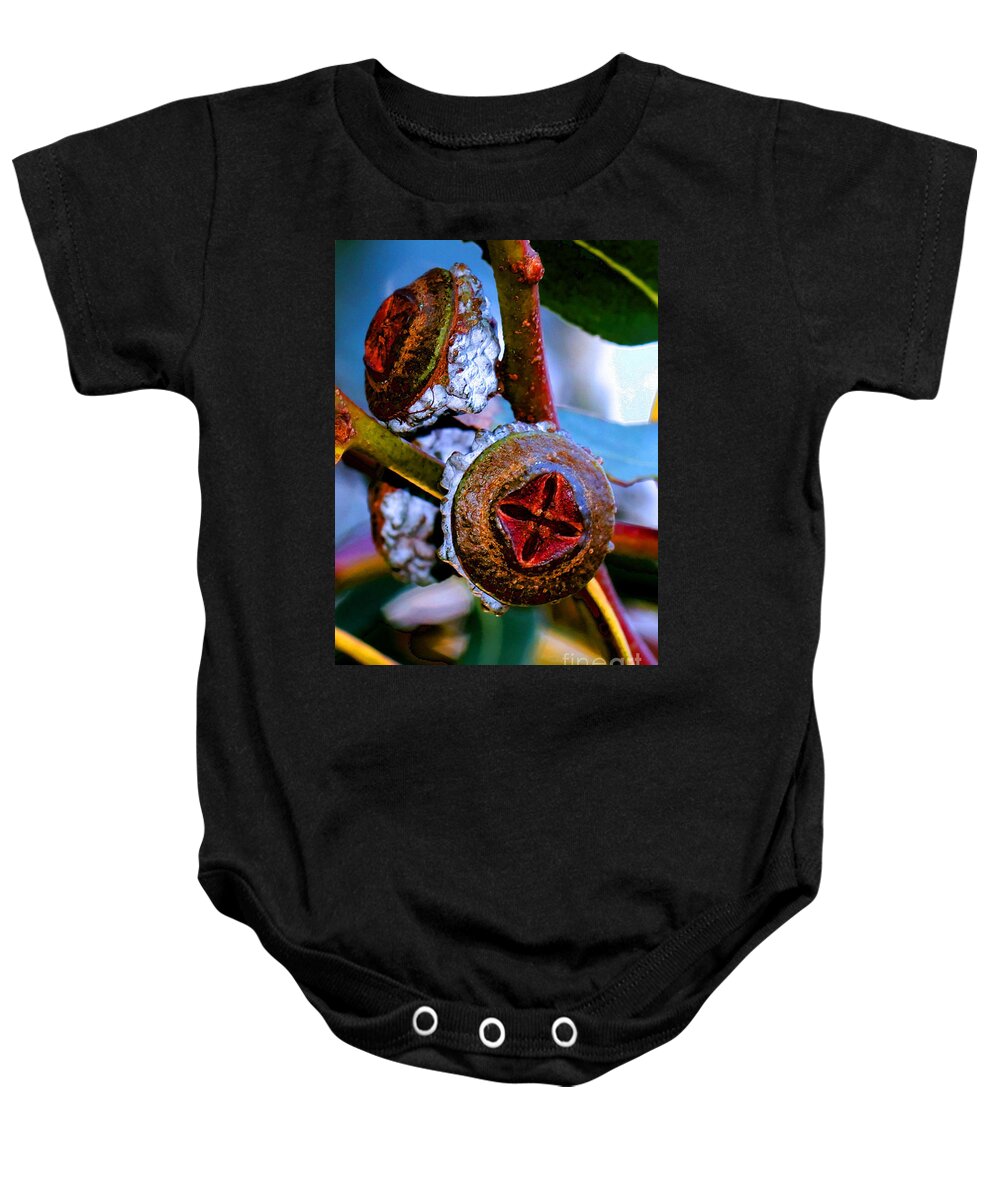 Trees Baby Onesie featuring the photograph Pacific Northwest Washington Button Seed Pod by Tap On Photo