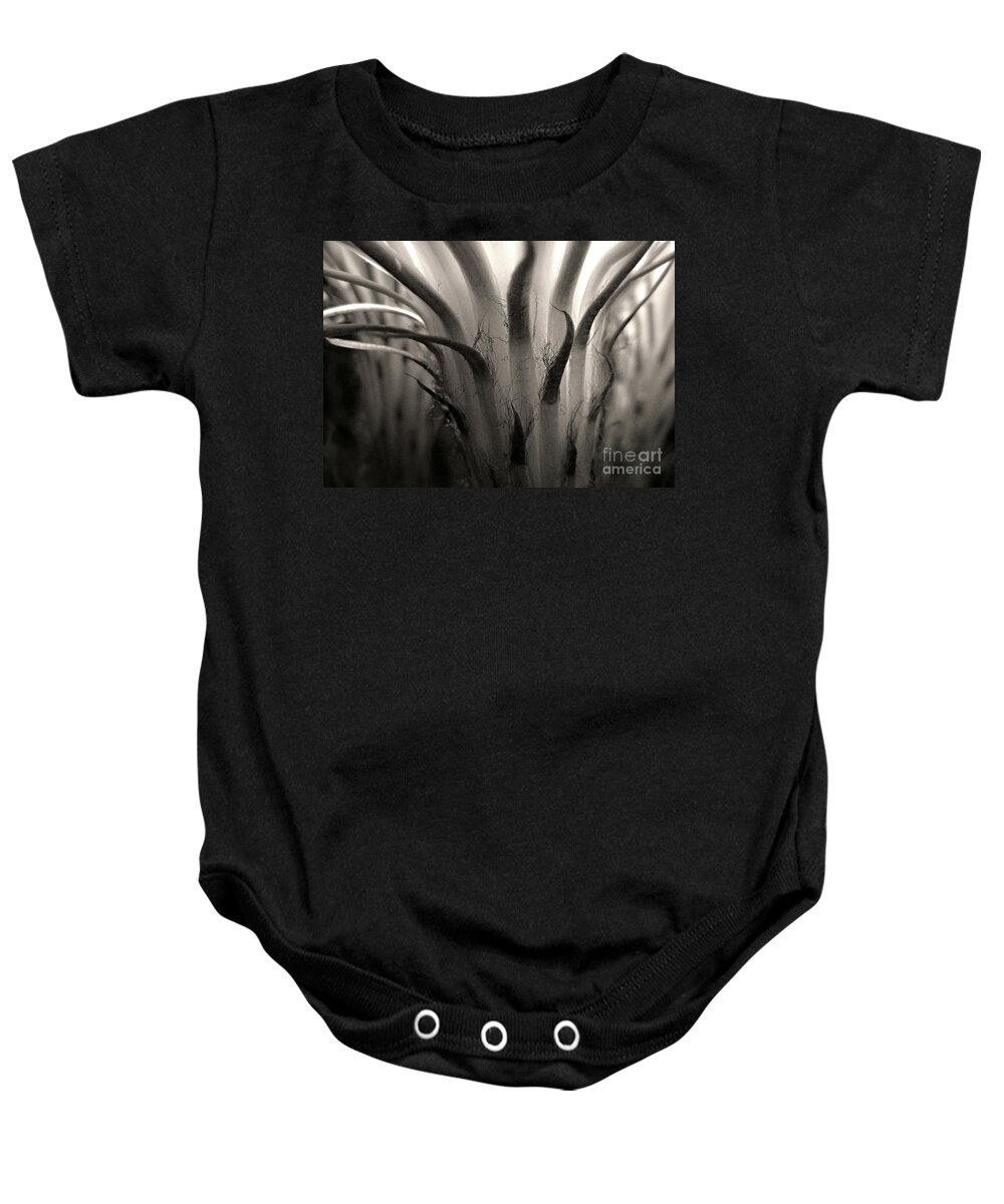 Cactus Baby Onesie featuring the photograph Cactus Bloom in Sepia by Ellen Cotton