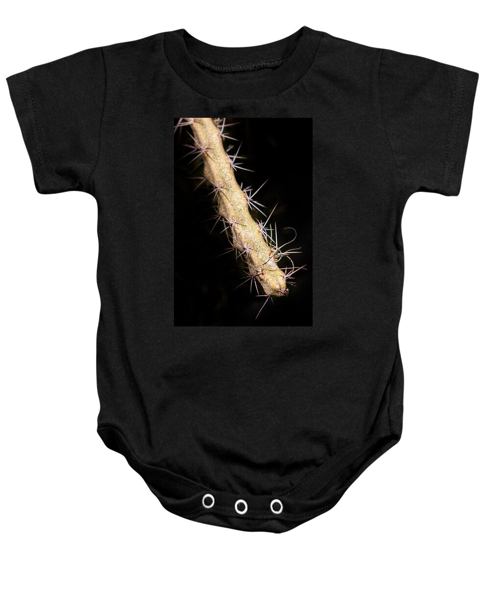 Botanical Baby Onesie featuring the photograph Cactus Branch by John Wadleigh