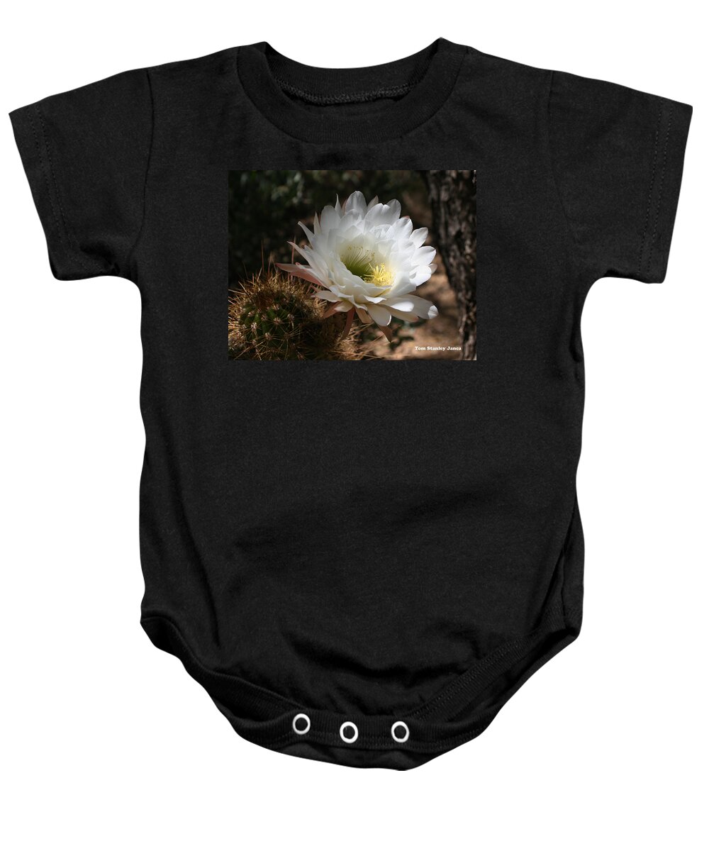 Cactus Flower Full Bloom Baby Onesie featuring the photograph Cactus Flower Full Bloom by Tom Janca