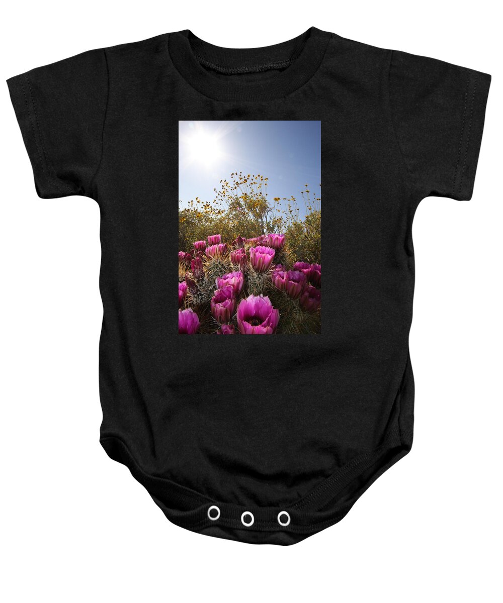 Desert Baby Onesie featuring the photograph Cactus Sunburst by Nelson Strong