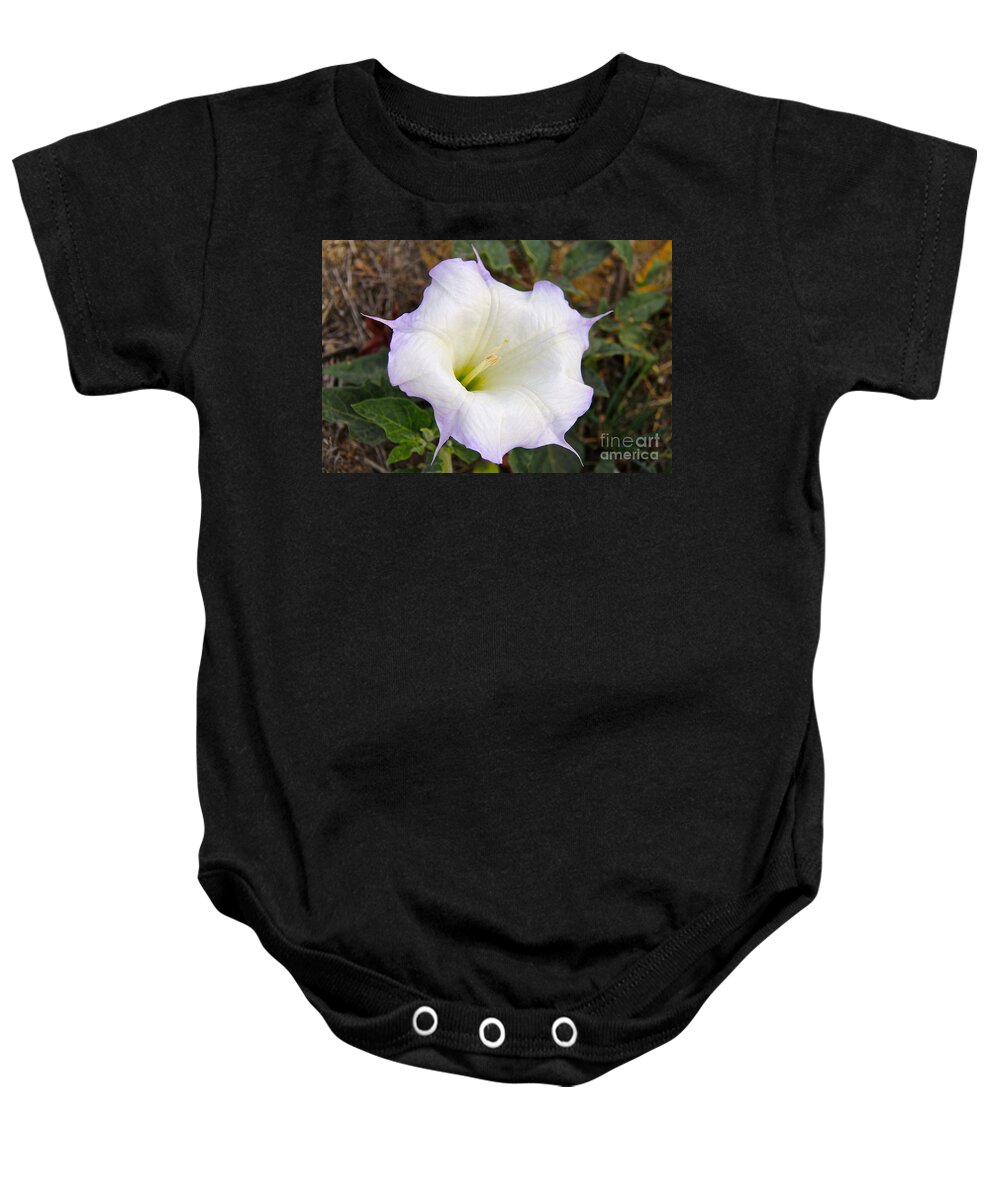 Gourd Flower Baby Onesie featuring the photograph California Gourd by Suzanne Oesterling