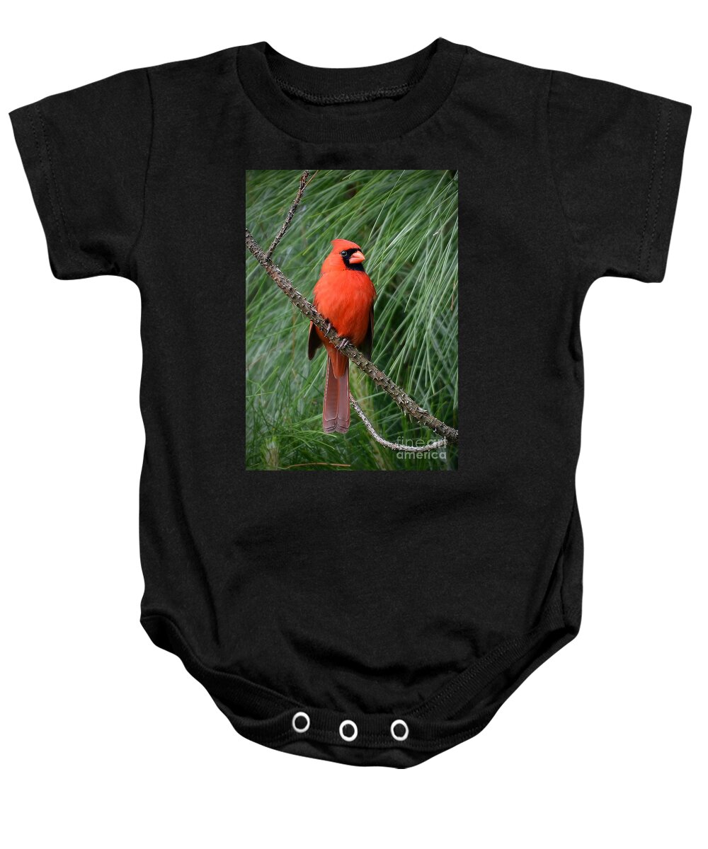 Cardinal Baby Onesie featuring the photograph Cardinal In A Pine Tree by Kathy Baccari