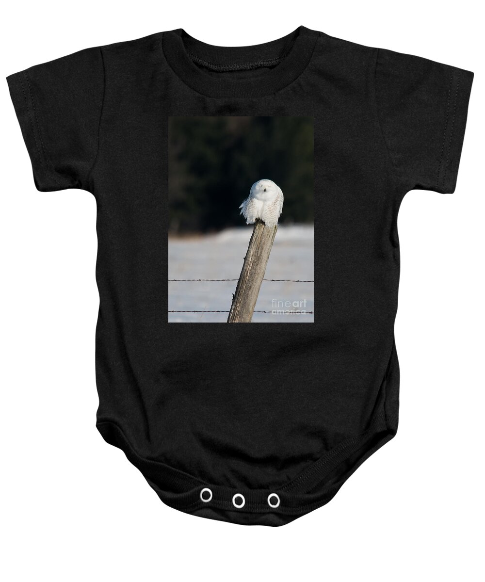Snowy Owl Baby Onesie featuring the photograph Cheeky Snowy by Cheryl Baxter