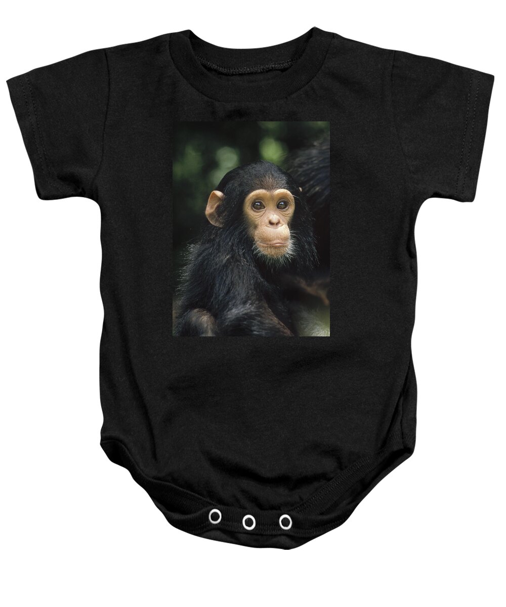 Feb0514 Baby Onesie featuring the photograph Chimpanzee Baby Portrait Gombe Stream by Gerry Ellis