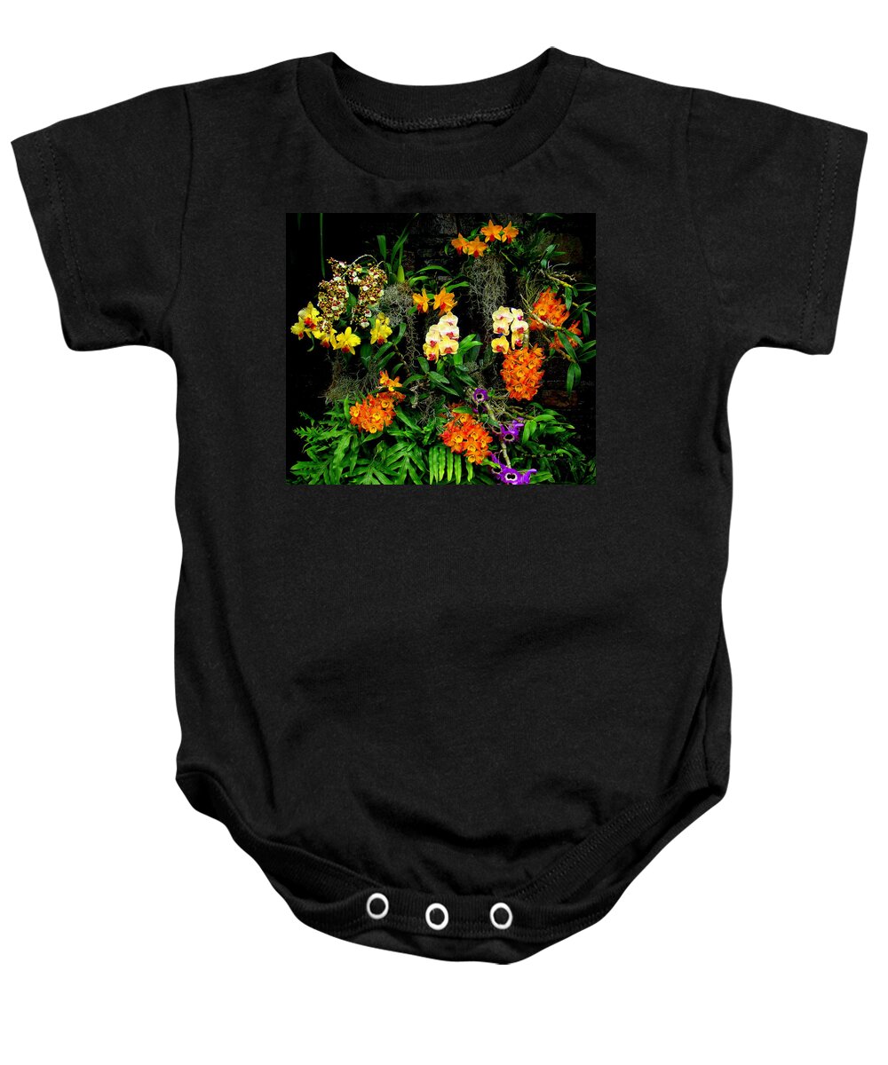 Fine Art Baby Onesie featuring the photograph Chorus by Rodney Lee Williams