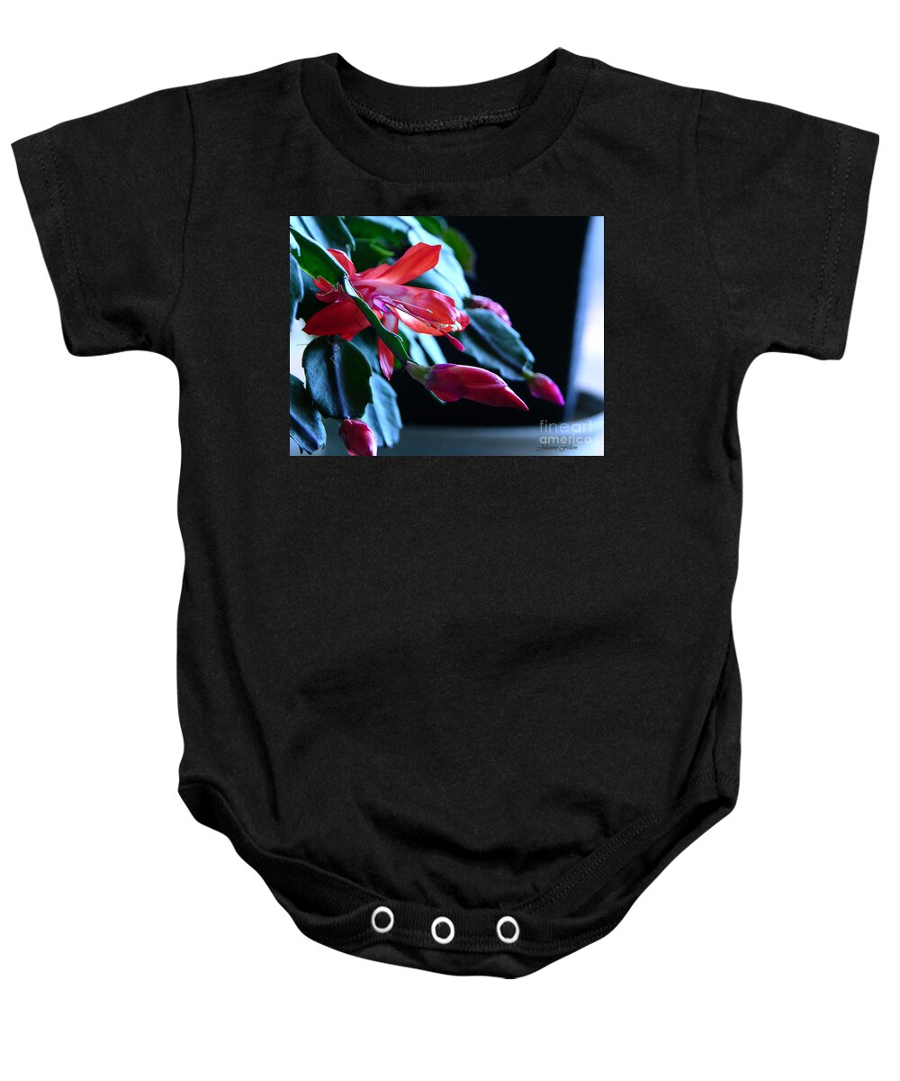 Christmas Baby Onesie featuring the photograph Christmas cactus in bloom by Julianne Felton