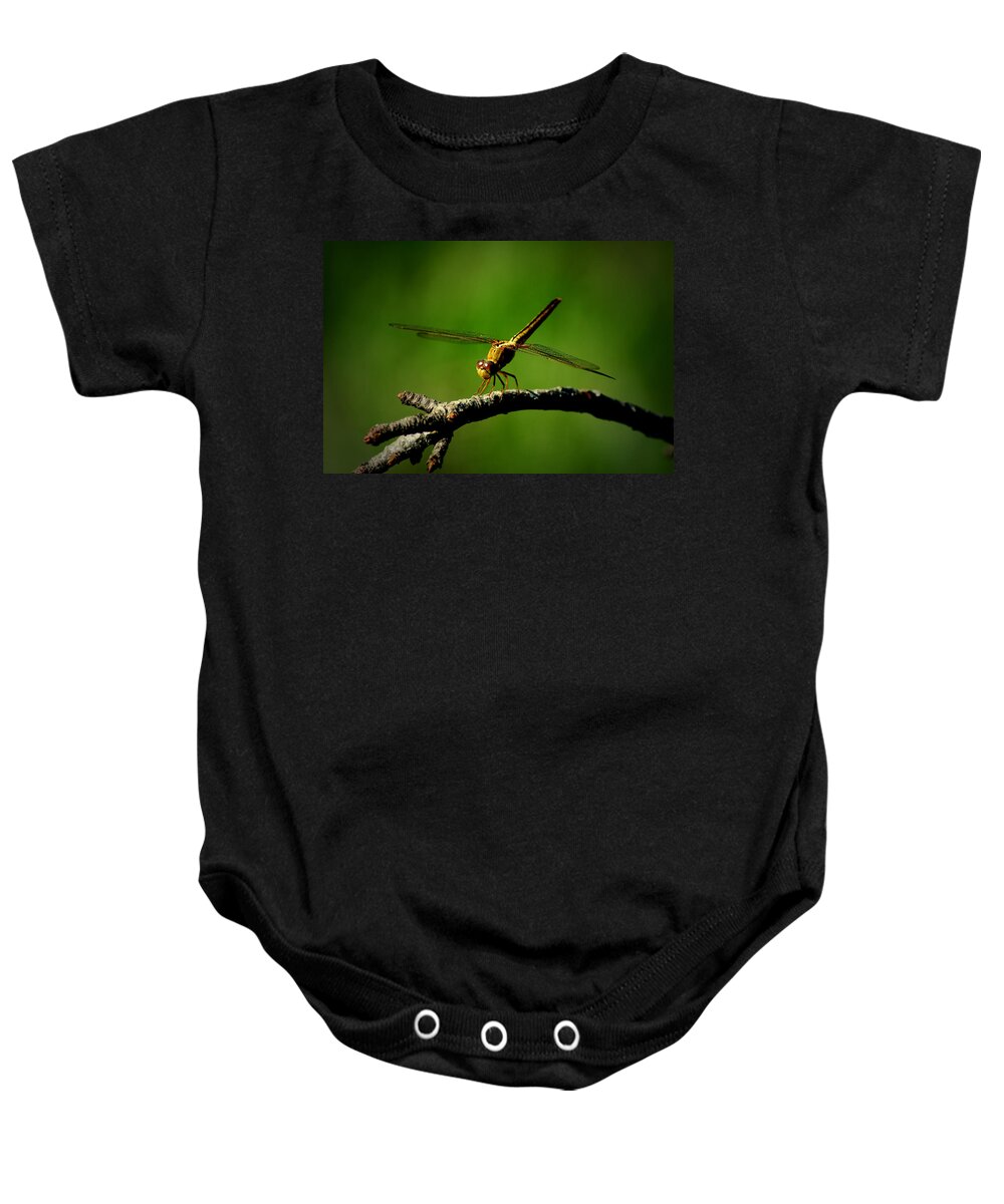 Dragonfly Baby Onesie featuring the photograph Clear For Takeoff by David Weeks
