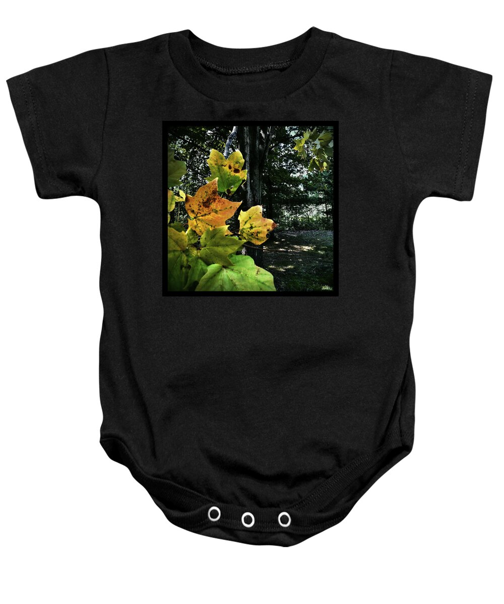 Landscape Baby Onesie featuring the photograph Coming of Fall by Al Harden