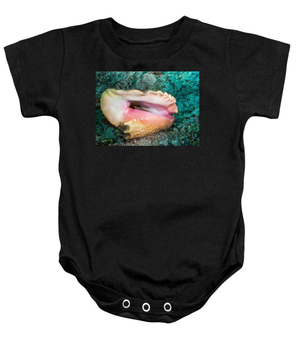Belize Baby Onesie featuring the photograph Conch by Jean Noren