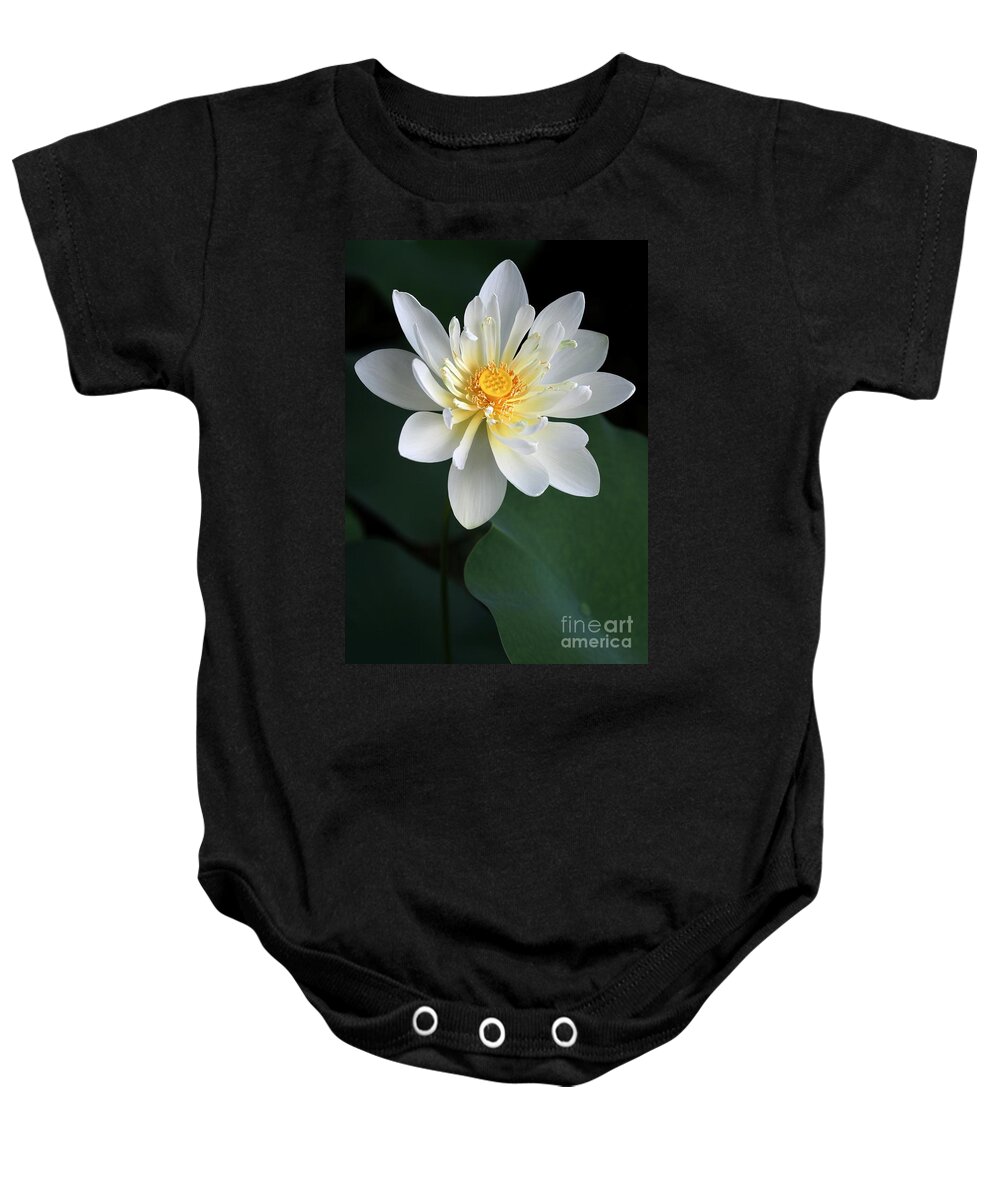 Lotus Baby Onesie featuring the photograph Confidence by Sabrina L Ryan