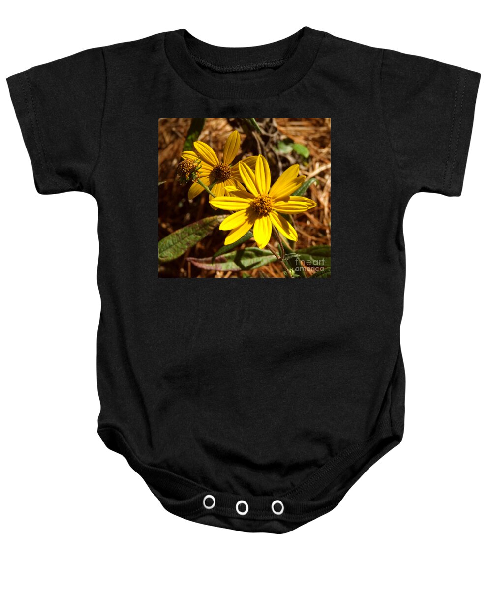 Cosmos Baby Onesie featuring the photograph Cosmos flower by Andrea Anderegg