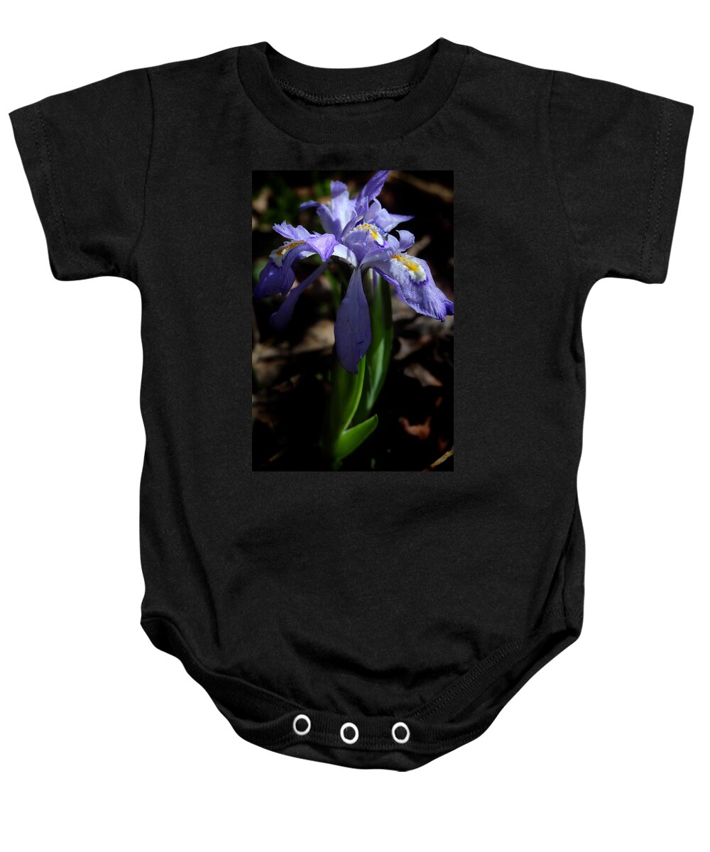 Crested Dwarf Iris Baby Onesie featuring the photograph Crested Dwarf Iris by Michael Eingle