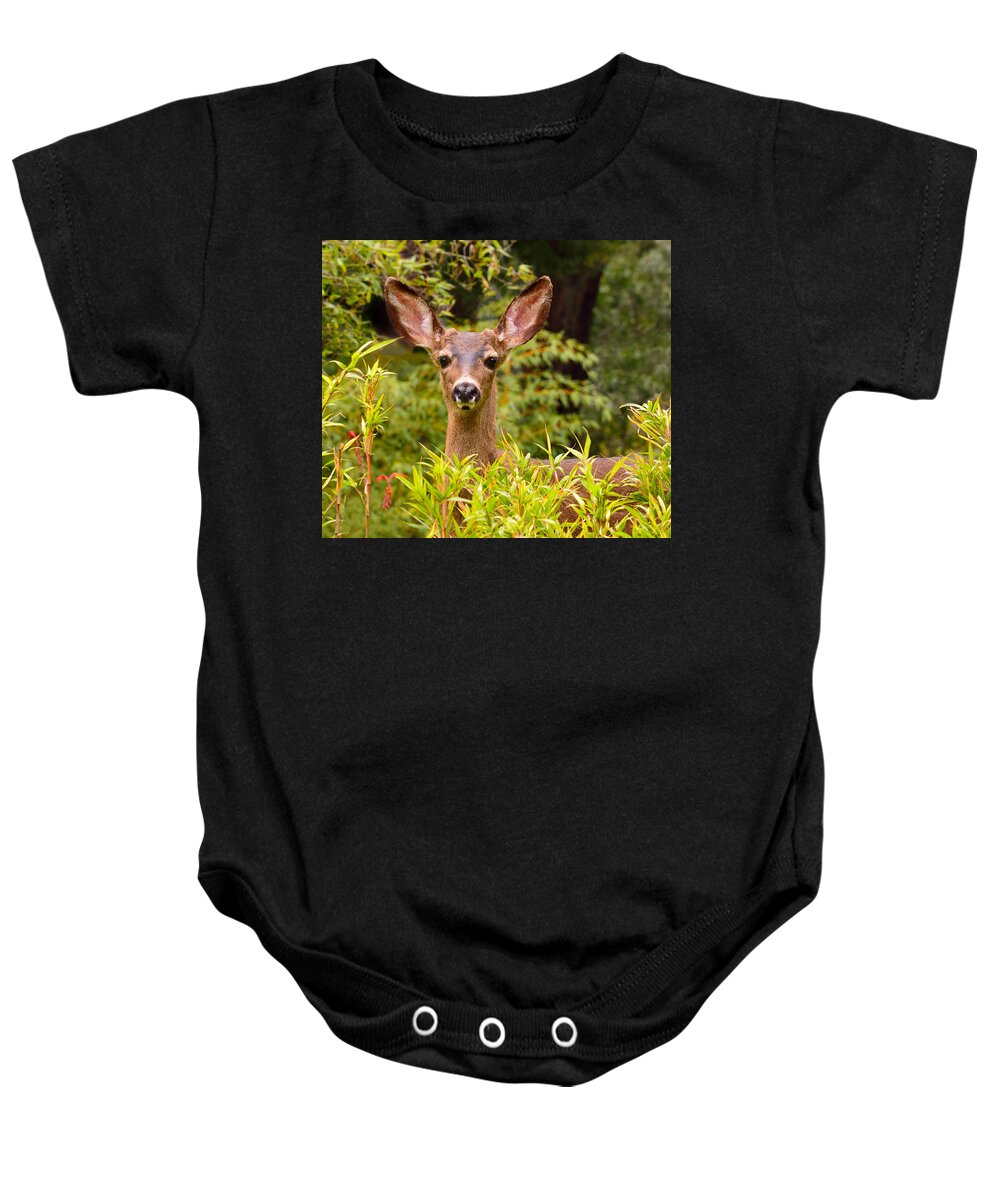 Deer Baby Onesie featuring the photograph Curiosity by Brian Tada