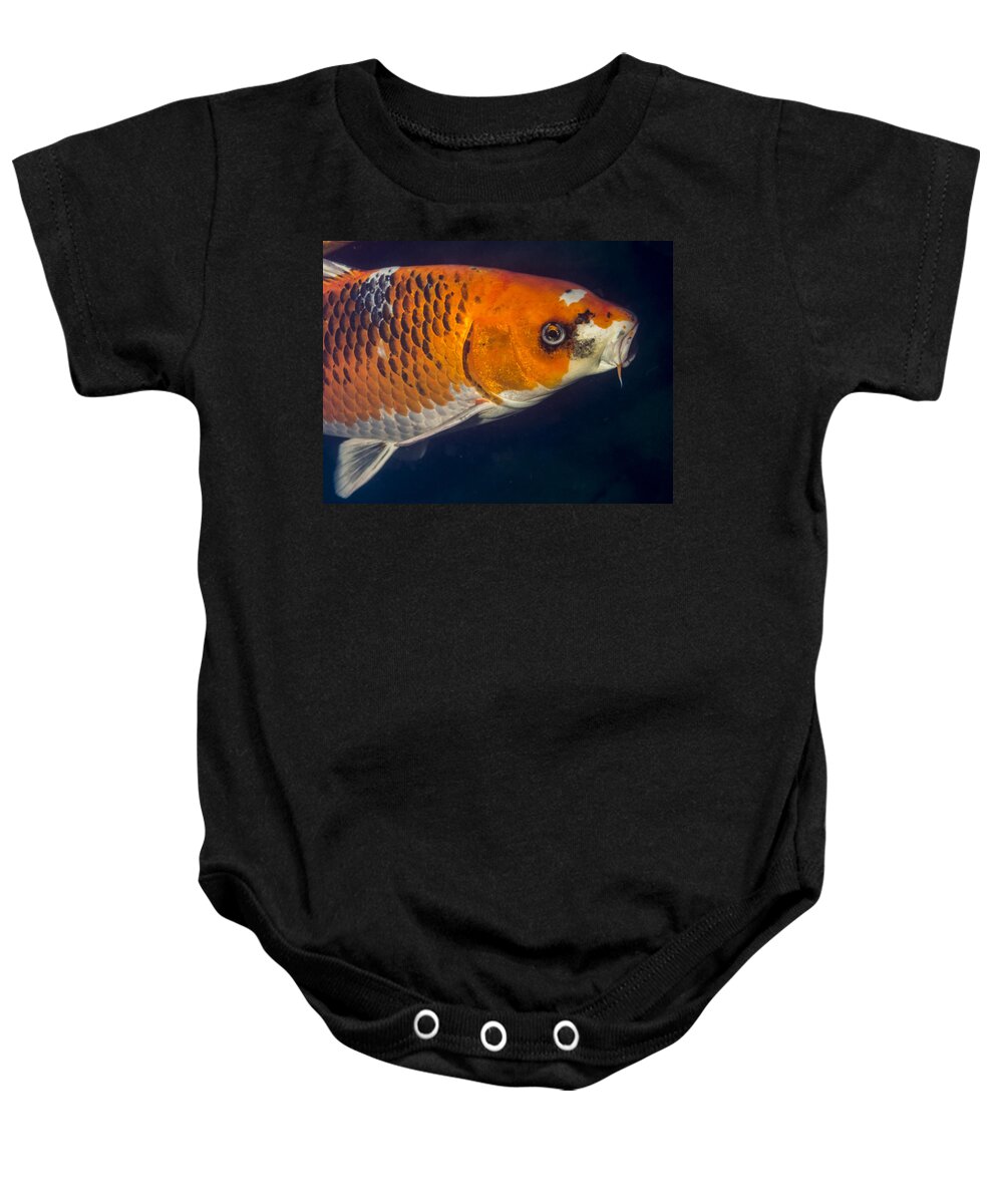Koi Baby Onesie featuring the photograph Curious Koi by Jean Noren