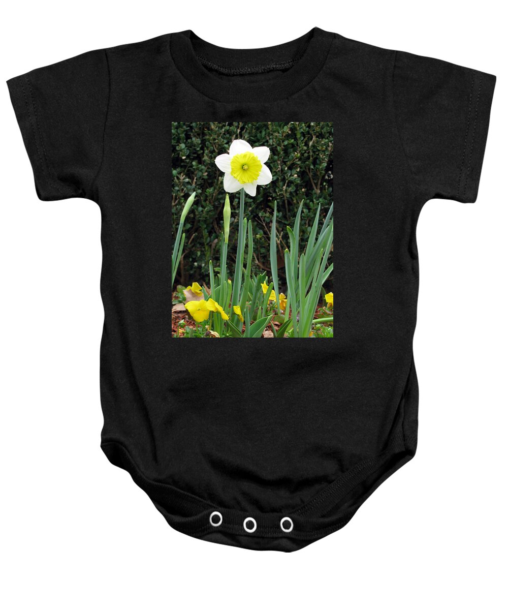Daffodil Baby Onesie featuring the photograph Daffodil 19 by Pamela Critchlow