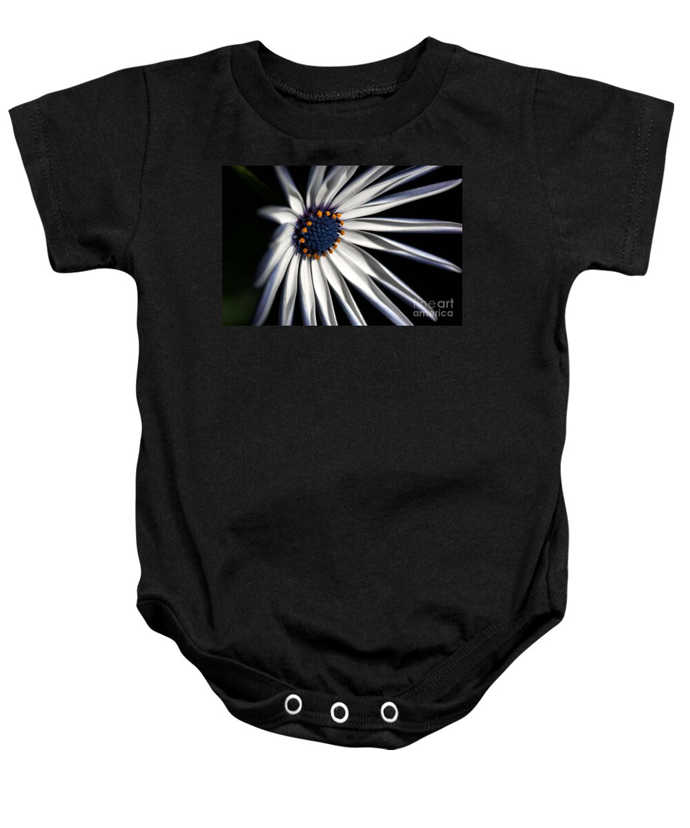 Osteospermum Baby Onesie featuring the photograph Daisy Heart by Joy Watson