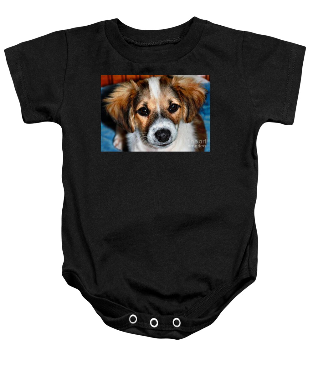 Dog Baby Onesie featuring the photograph Dakota by Judy Palkimas