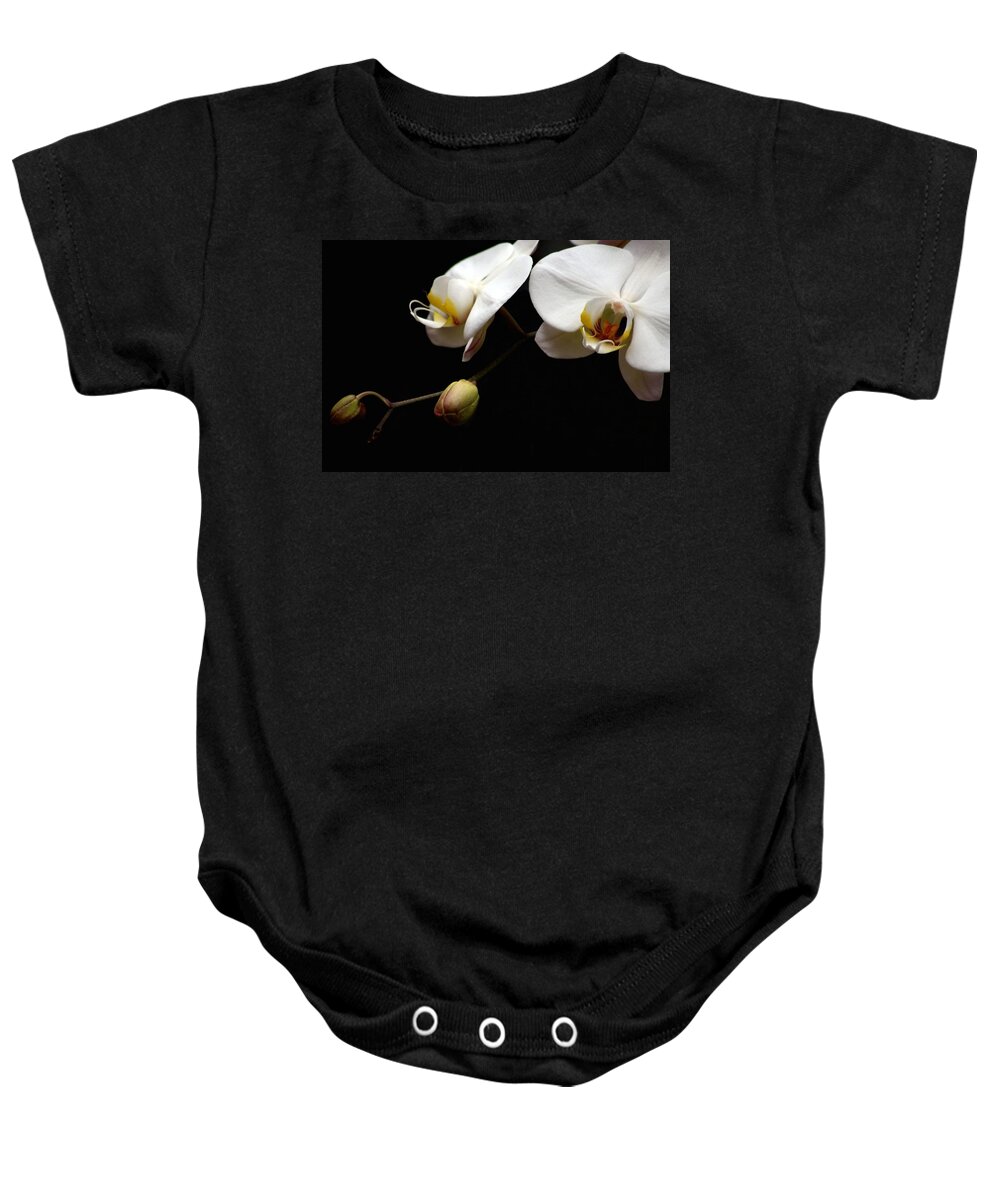 Phalaenopsis Orchid Baby Onesie featuring the photograph Dark Orchid by Carol Montoya