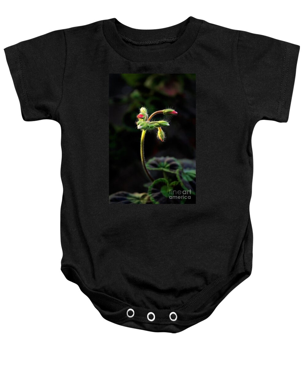 Nature Baby Onesie featuring the photograph Delicate Curves by Ellen Cotton