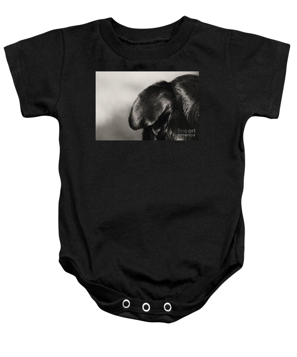 Ear Baby Onesie featuring the photograph Dog Eared by Cassandra Buckley