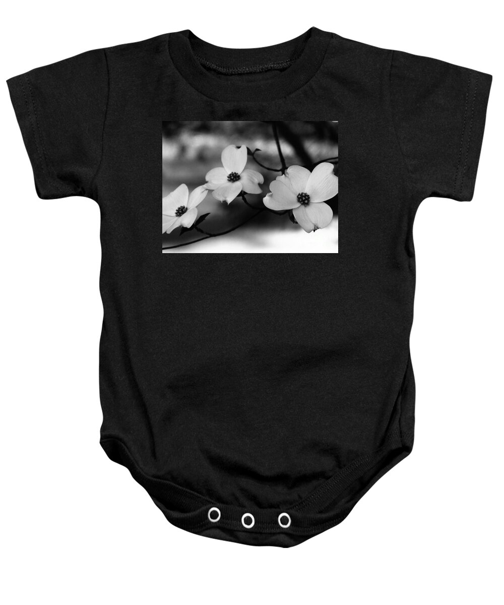 Dogwood Baby Onesie featuring the photograph Dogwood Black and White by Andrea Anderegg