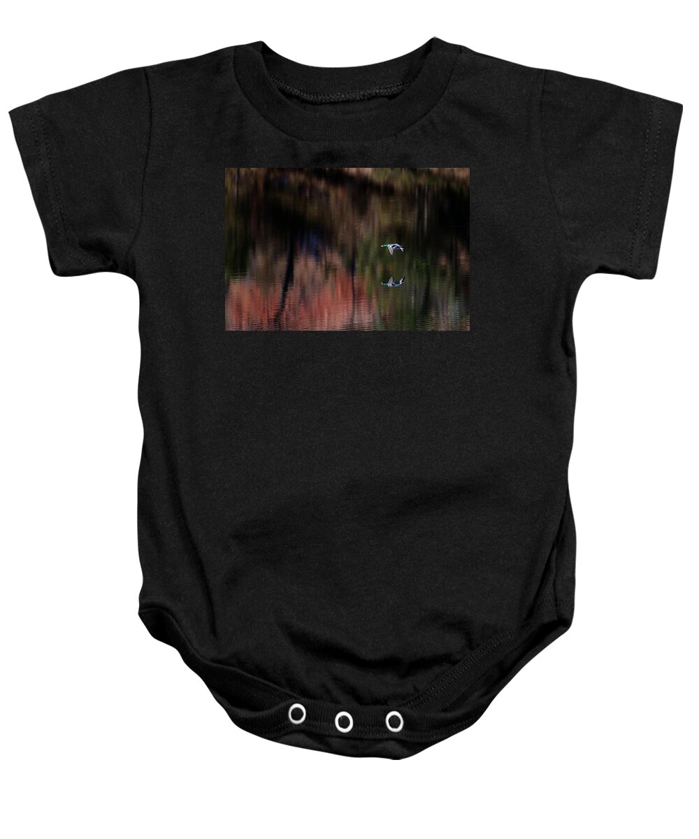 Mallard Baby Onesie featuring the photograph Duck Scape 3 by Donald J Gray