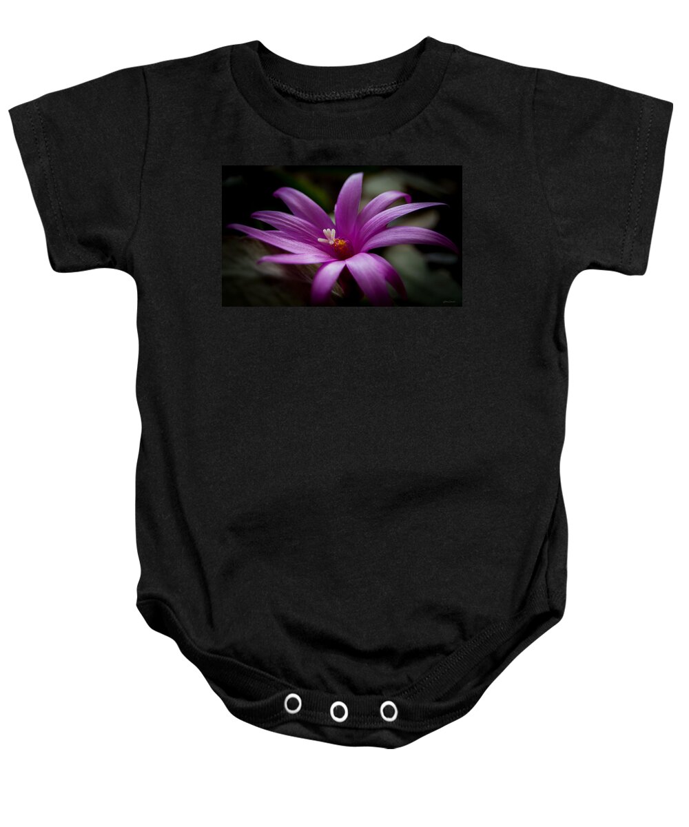 Nature Baby Onesie featuring the photograph Easter Rose by Steven Milner