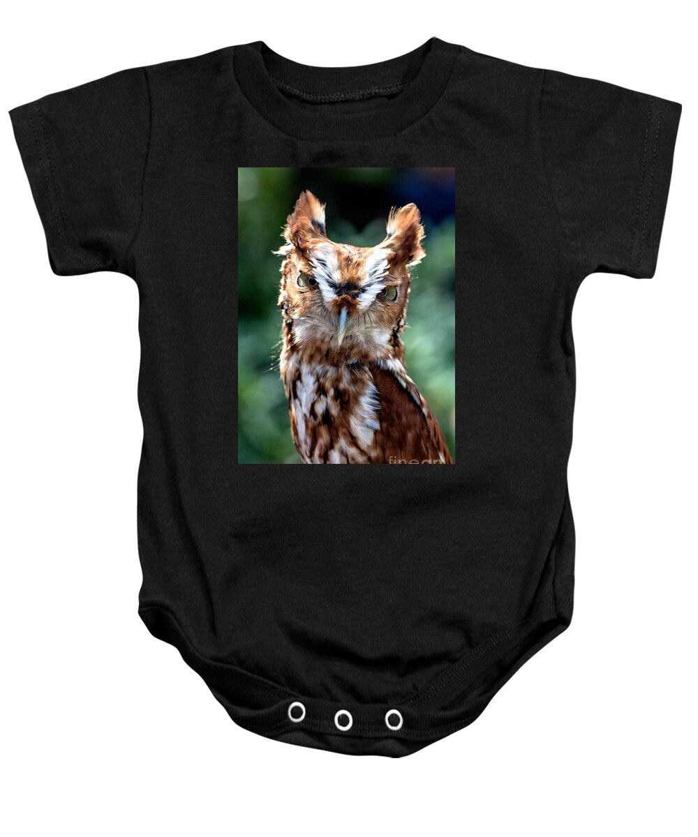 Color Baby Onesie featuring the photograph Eastern Screech-Owl by Bernd Laeschke