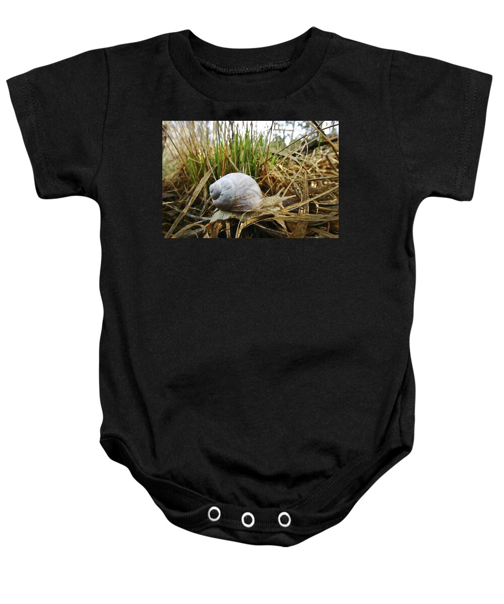 Feb0514 Baby Onesie featuring the photograph Edible Snail Bavaria Germany by Konrad Wothe