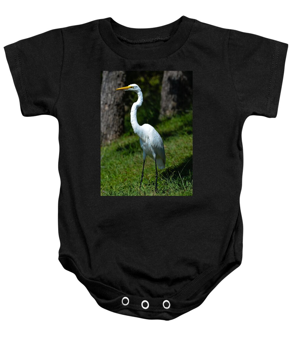 Waterfowl Baby Onesie featuring the photograph Egret - full length by John Johnson