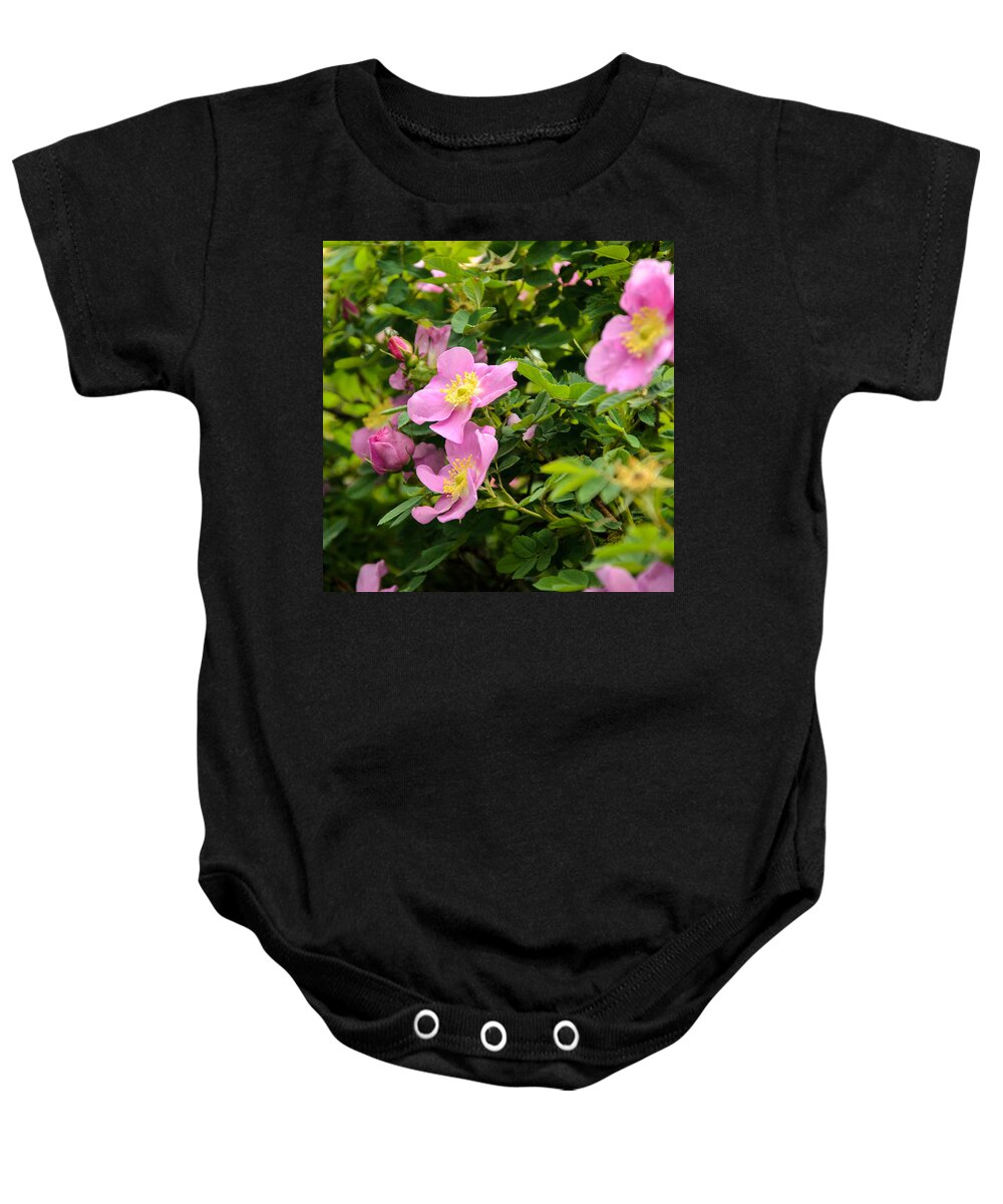 Outdoors Baby Onesie featuring the photograph Nootka Roses by Roxy Hurtubise